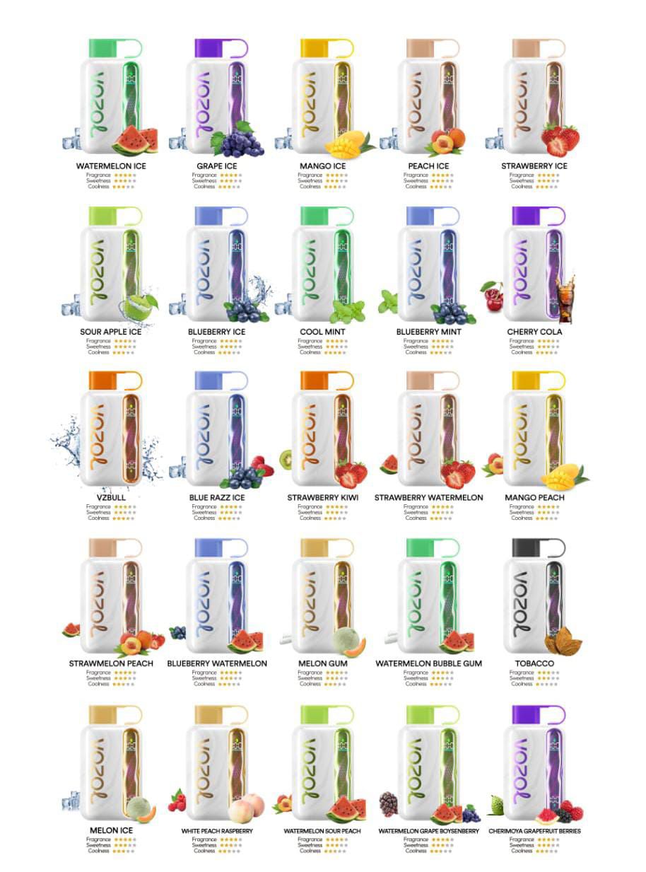 Vozol Star 40000 Puffs Rechargeable Vape In Dubai