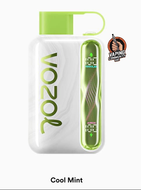 Vozol Star 40000 Puffs Rechargeable Vape In Dubai
