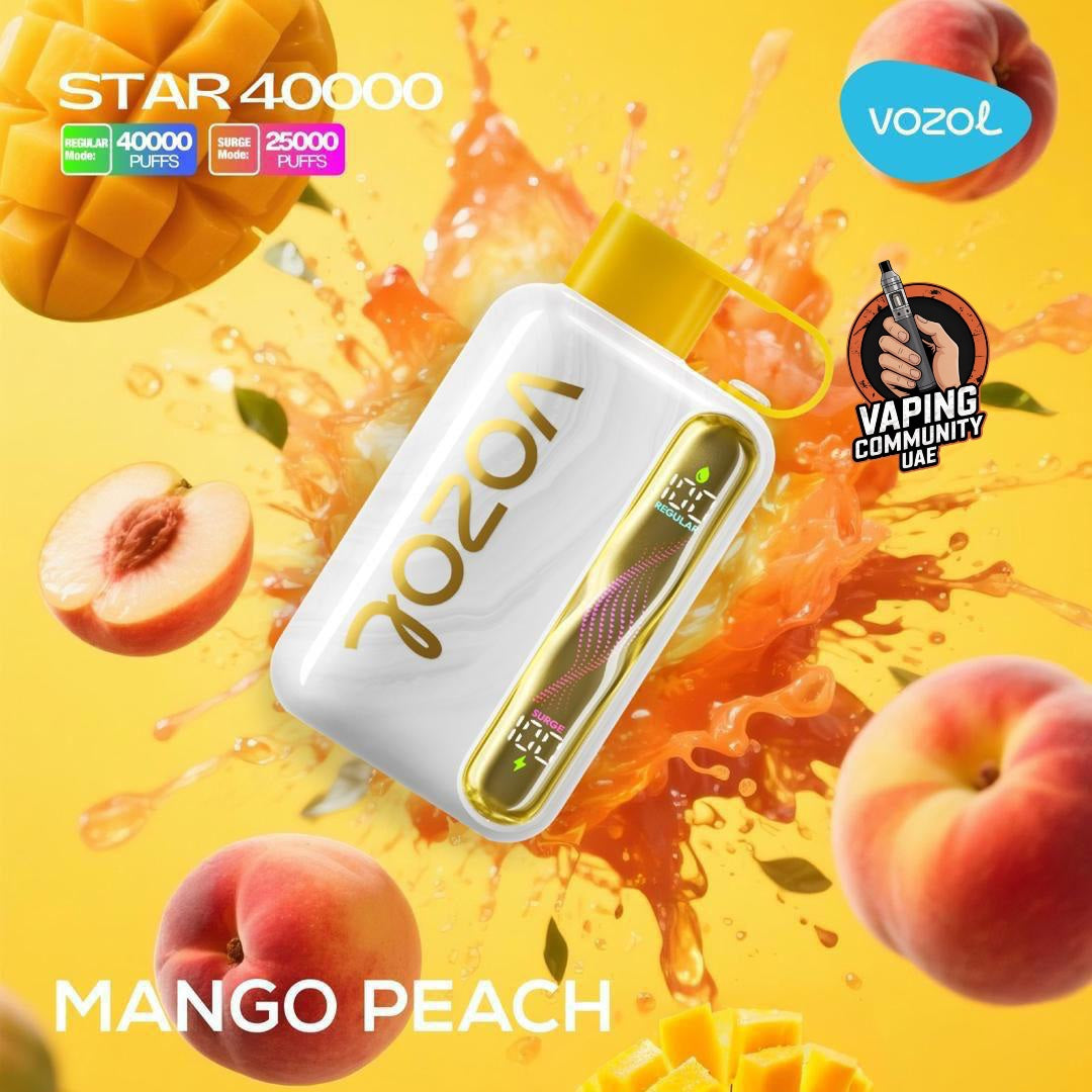 Vozol Star 40000 Puffs Rechargeable Vape In Dubai